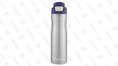 Contigo Autoseal Stainless Steel Water Bottle (Grapevine Color Only) | $13 | Amazon